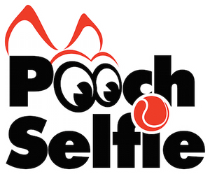 Clever Dog Products (Pooch Selfie)- As Seen on Shark Tank
