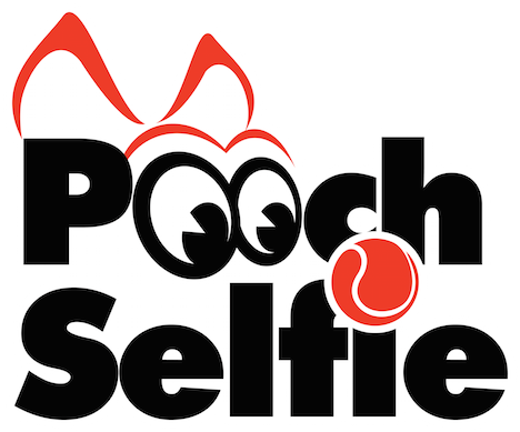 Clever Dog Products (Pooch Selfie)- As Seen on Shark Tank